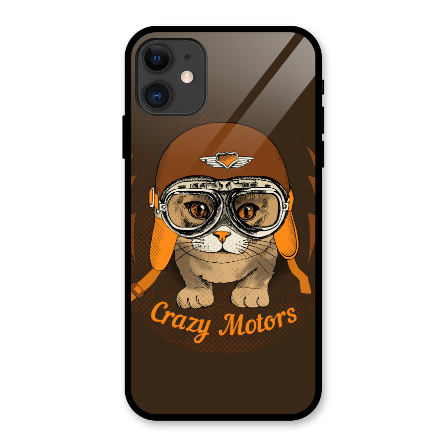 Crazy cat Glass Back Case for iPhone 11