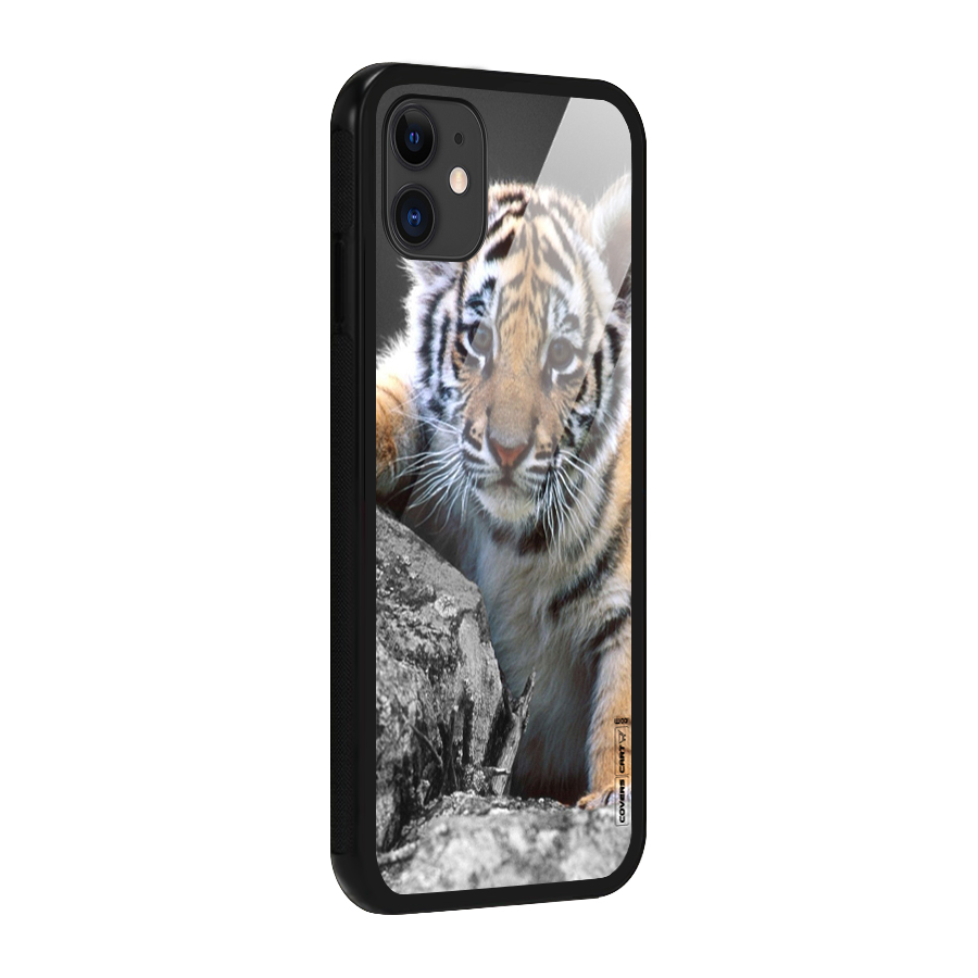 Animal Beauty Glass Back Case for iPhone 11
