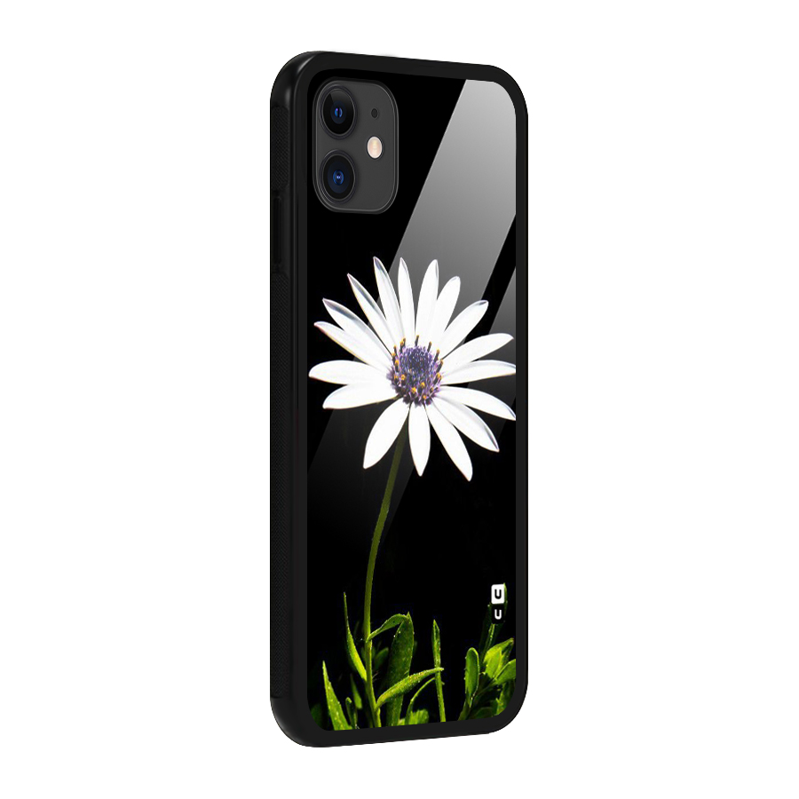 Flower White Spring Glass Back Case for iPhone 11