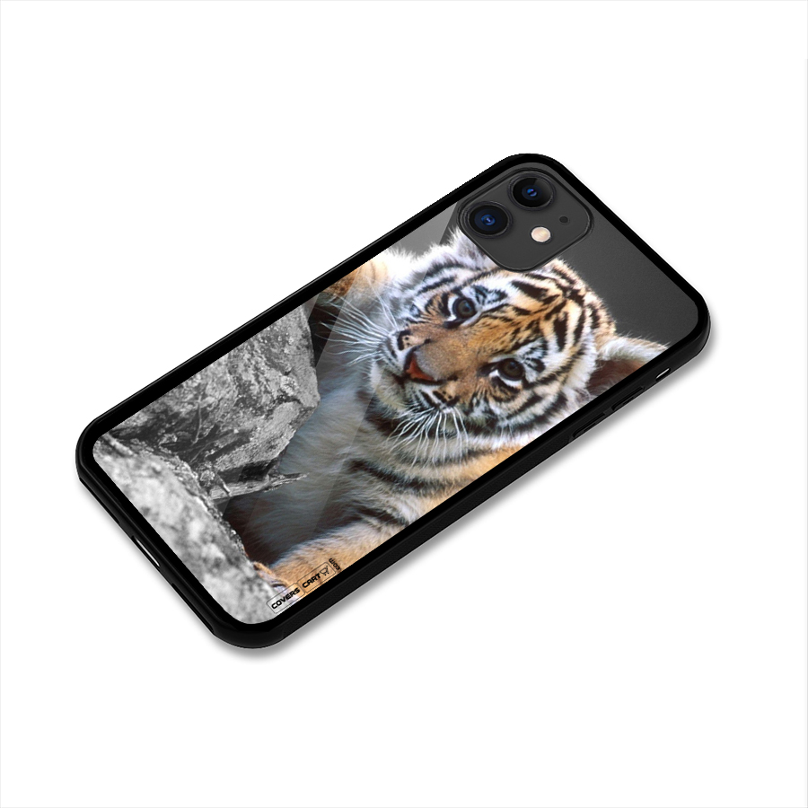 Animal Beauty Glass Back Case for iPhone 11