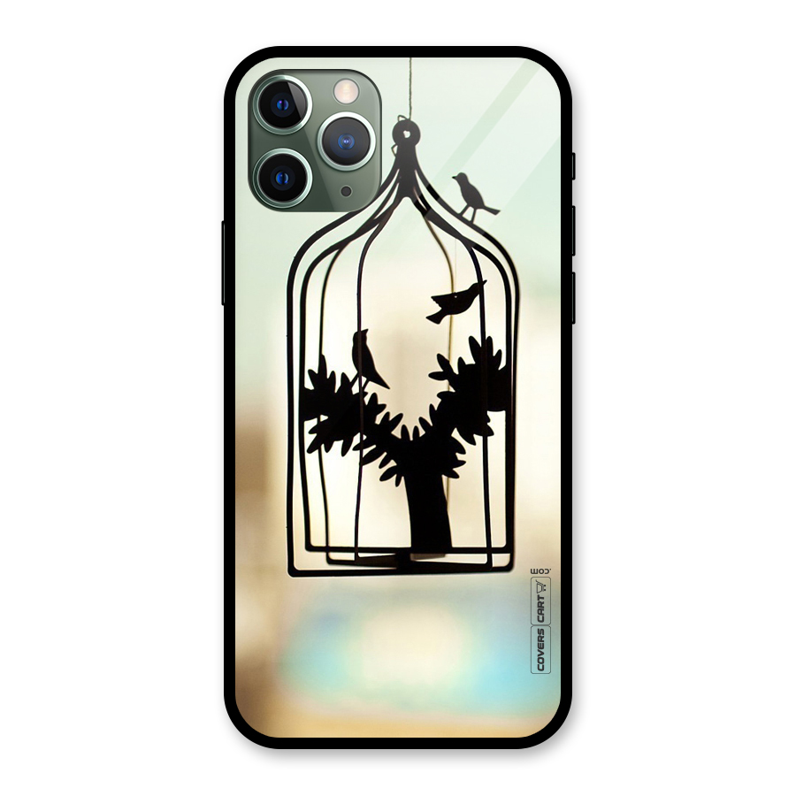 Beautiful Pegion Cage Glass Back Case for iPhone 11 Pro