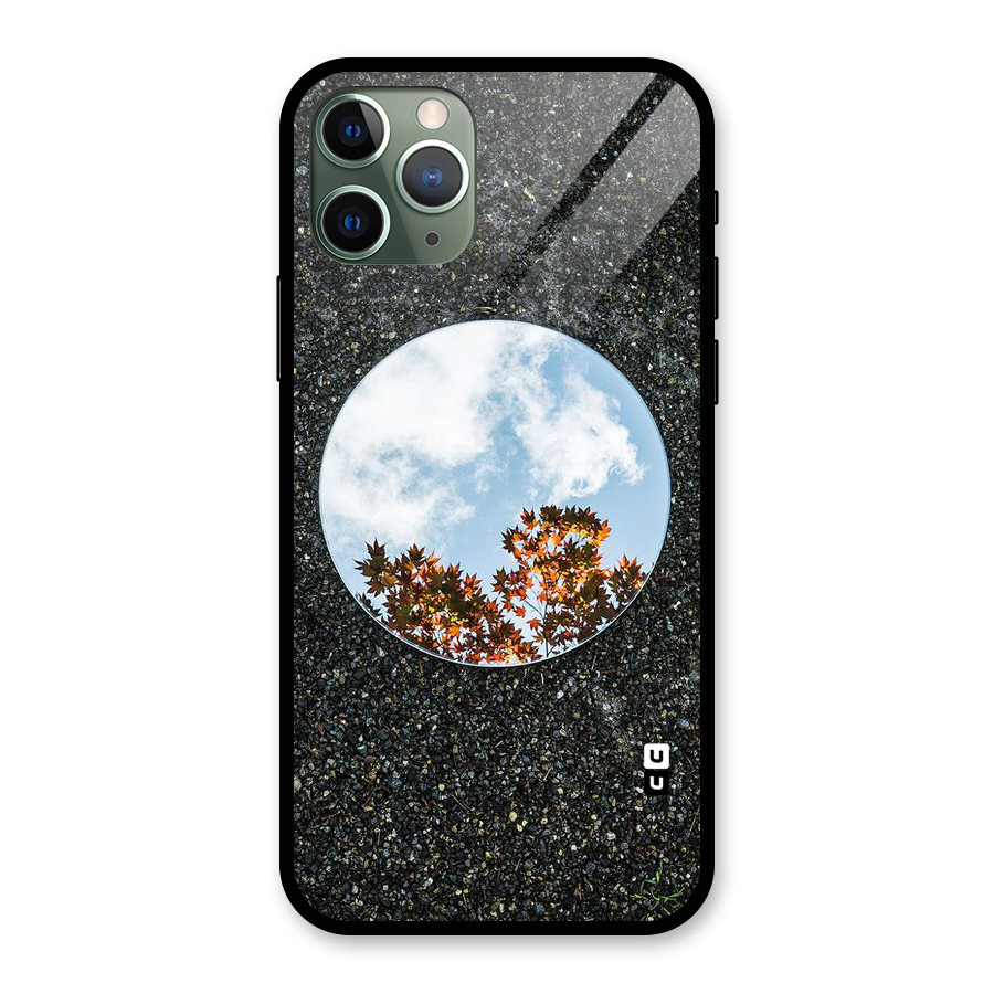 Beautiful Sky Leaves Glass Back Case for iPhone 11 Pro