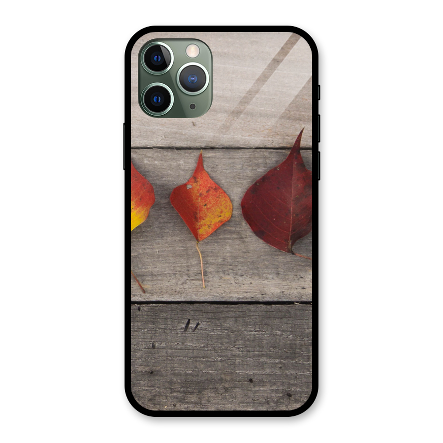 Beautiful Wood Leafs Glass Back Case for iPhone 11 Pro