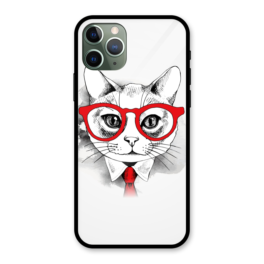 Business Cat Glass Back Case for iPhone 11 Pro