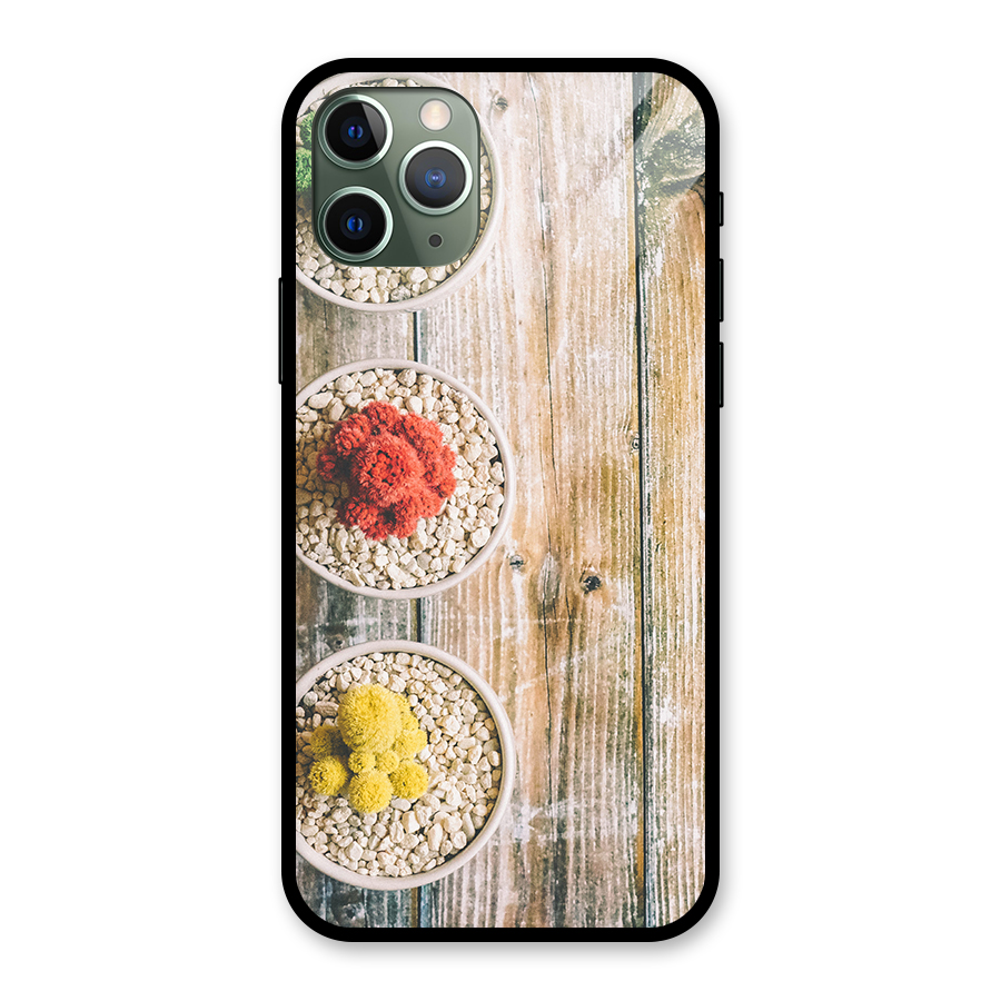 Cacti Decor Glass Back Case for iPhone 11 Pro