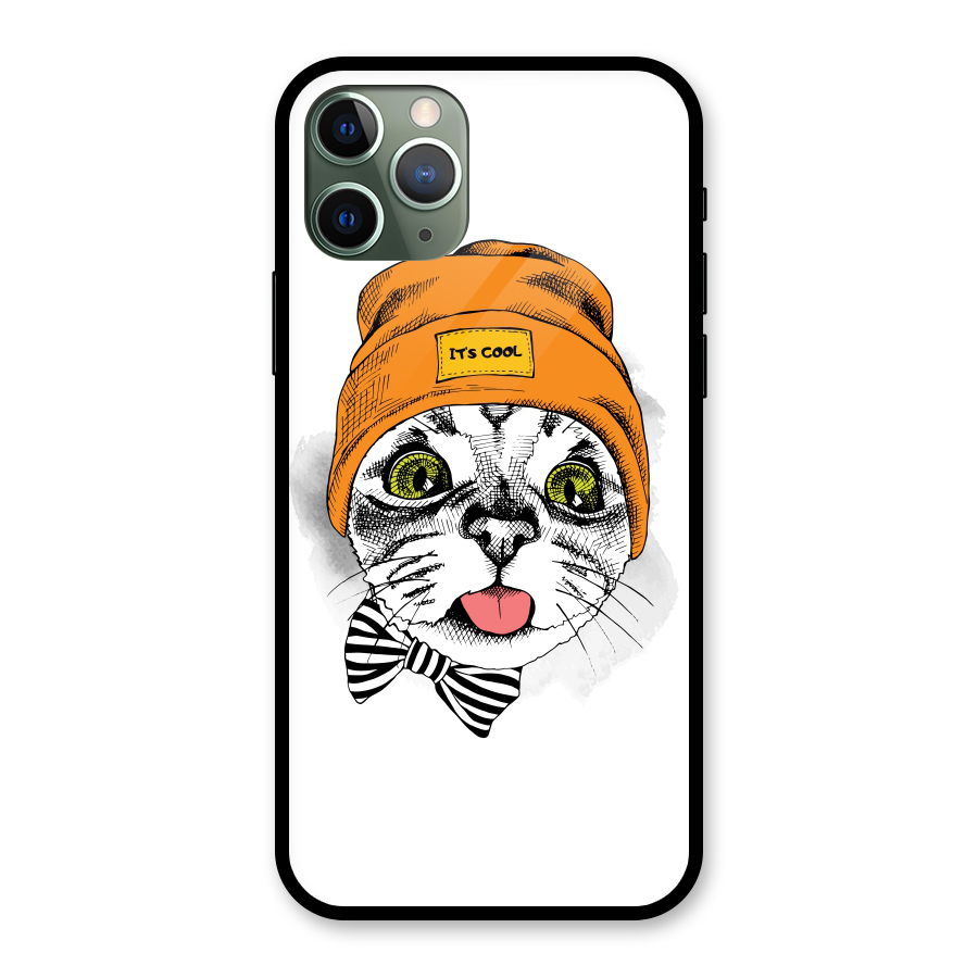 Cool cat Glass Back Case for iPhone 11 Pro