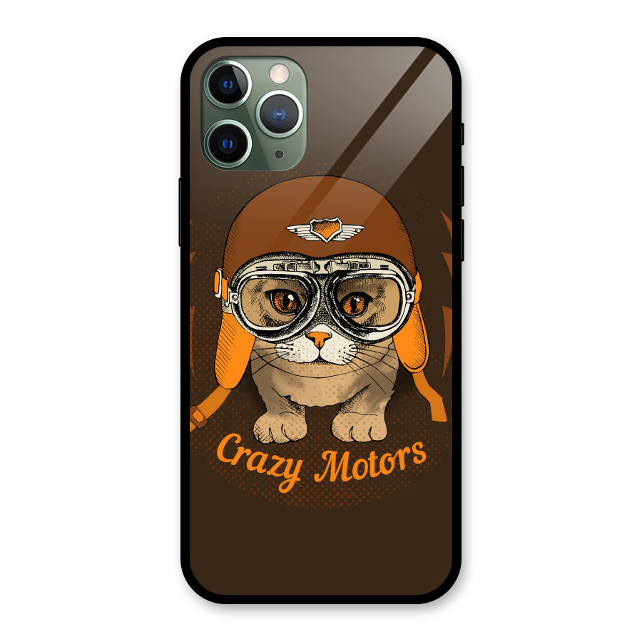 Crazy cat Glass Back Case for iPhone 11 Pro