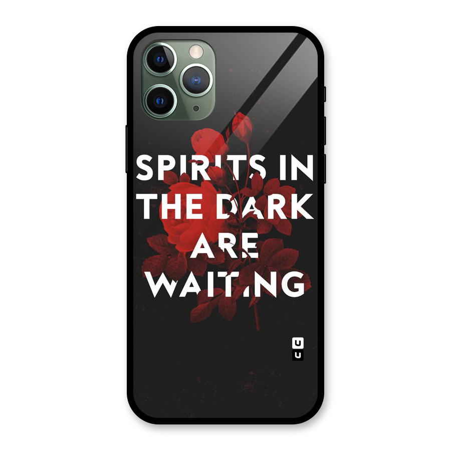 Dark Spirits Glass Back Case for iPhone 11 Pro