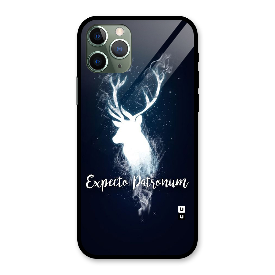 Expected Wish Glass Back Case for iPhone 11 Pro