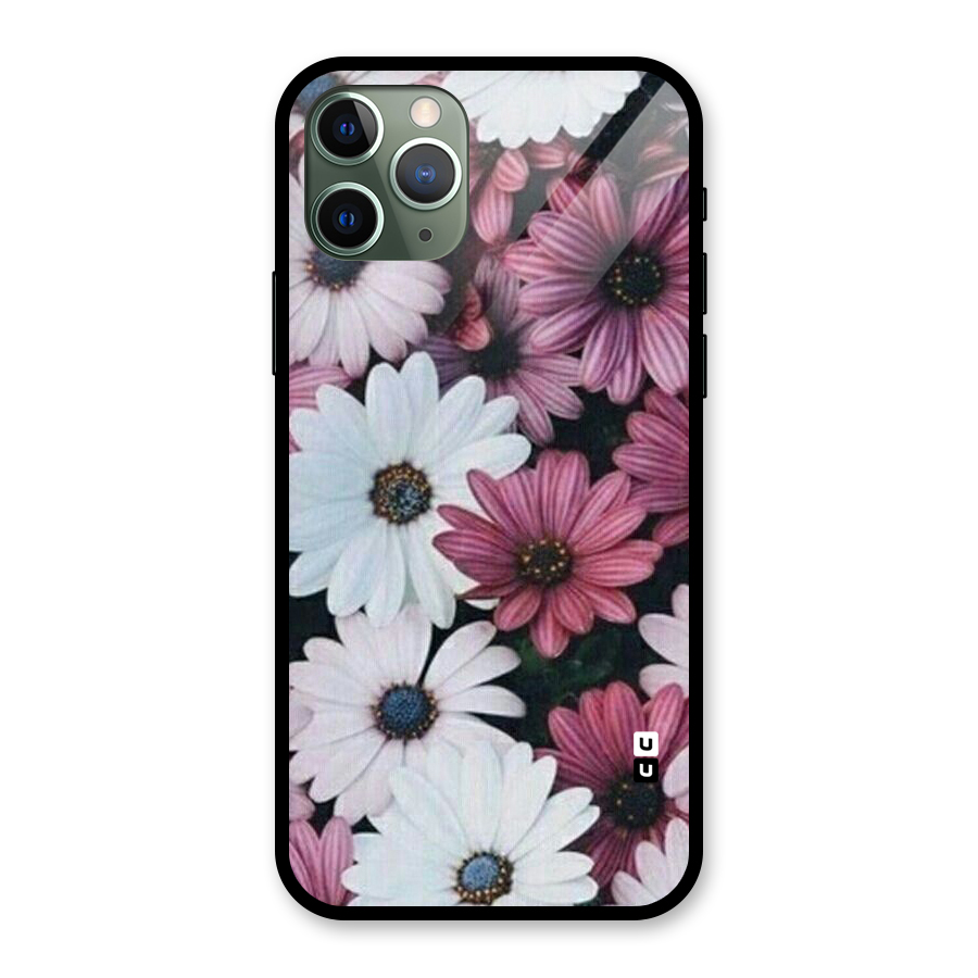 Floral Shades Pink Glass Back Case for iPhone 11 Pro