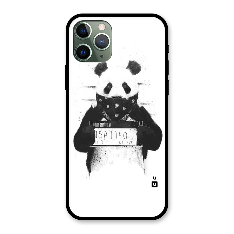 Guilty Panda Glass Back Case for iPhone 11 Pro