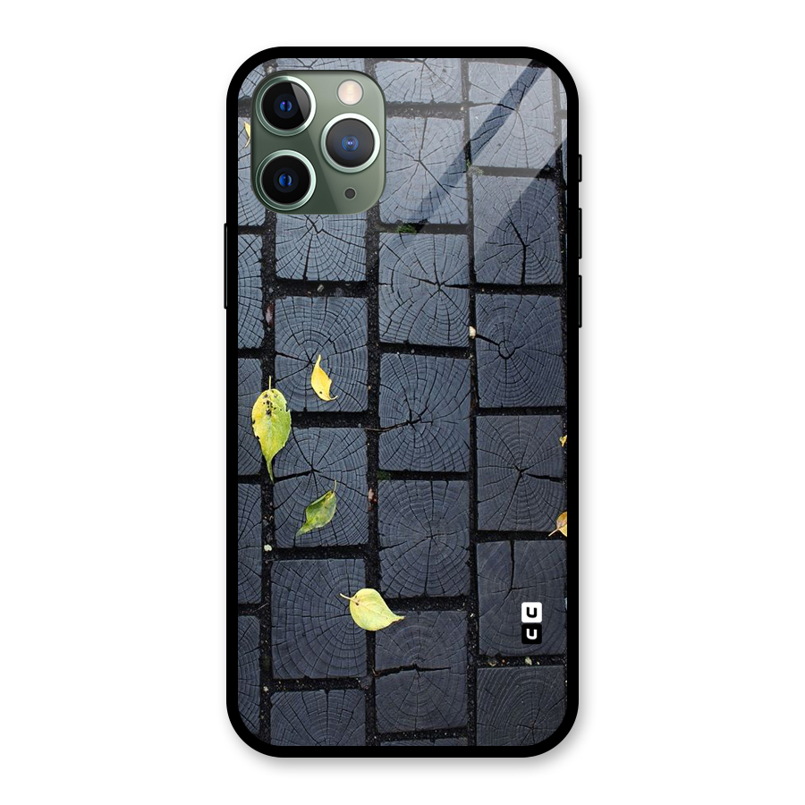 Leaf On Floor Glass Back Case for iPhone 11 Pro