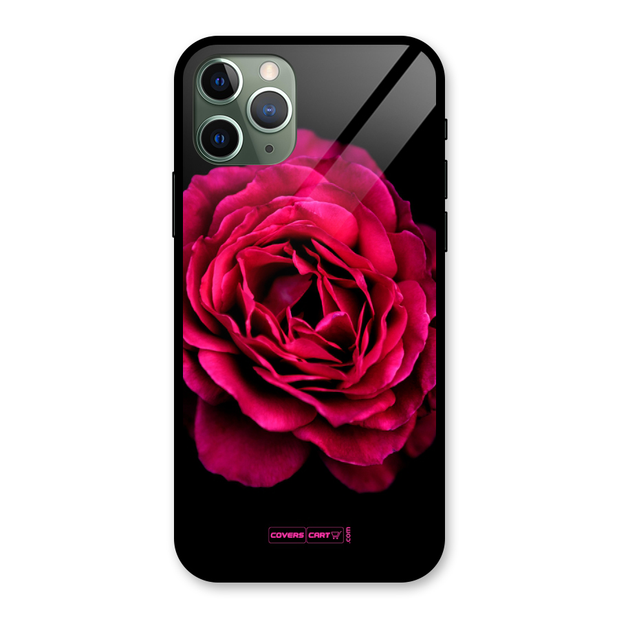 Magical Rose Glass Back Case for iPhone 11 Pro