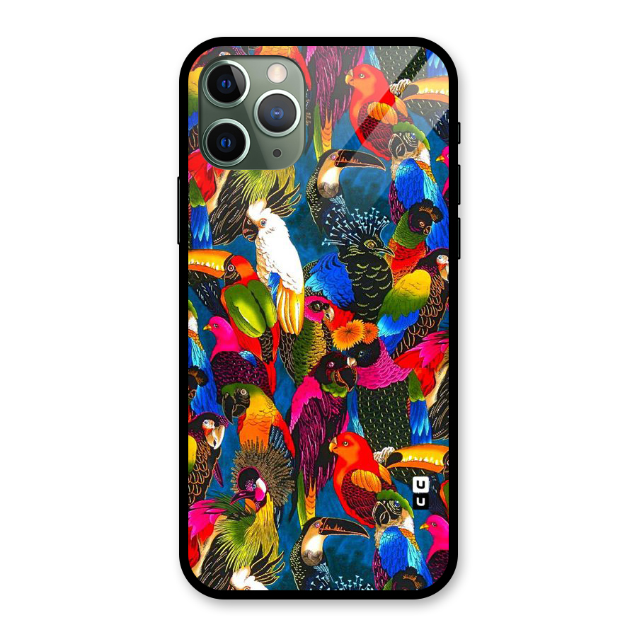 Parrot Art Glass Back Case for iPhone 11 Pro
