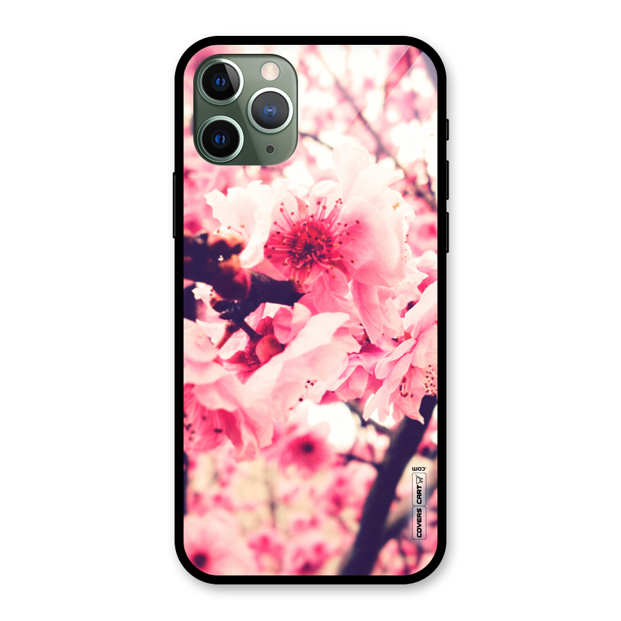 Pretty Pink Flowers Glass Back Case for iPhone 11 Pro