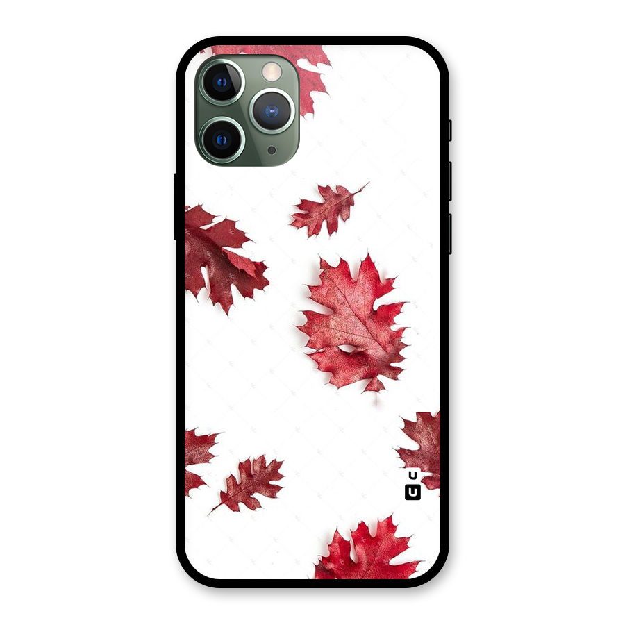 Red Appealing Autumn Leaves Glass Back Case for iPhone 11 Pro