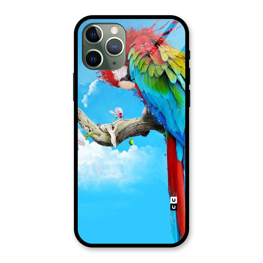 Sky Parrot Glass Back Case for iPhone 11 Pro