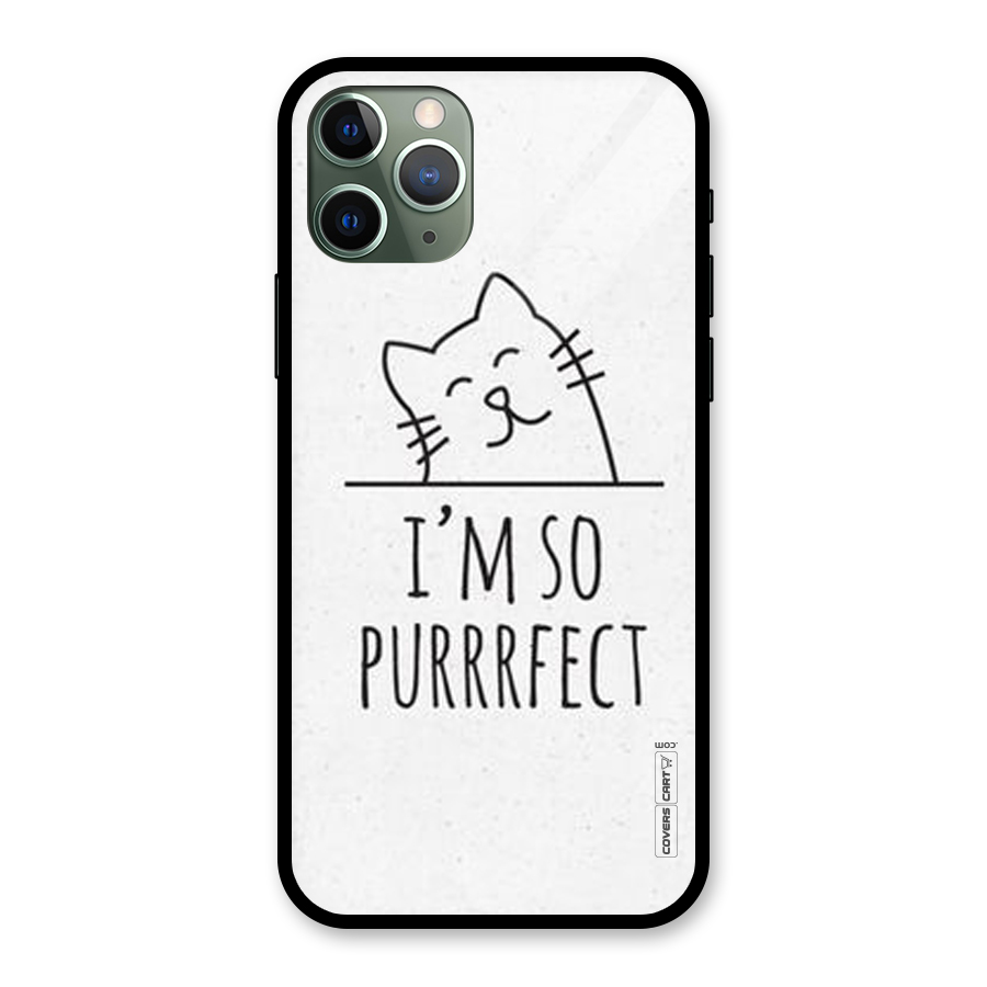 So Purrfect Glass Back Case for iPhone 11 Pro
