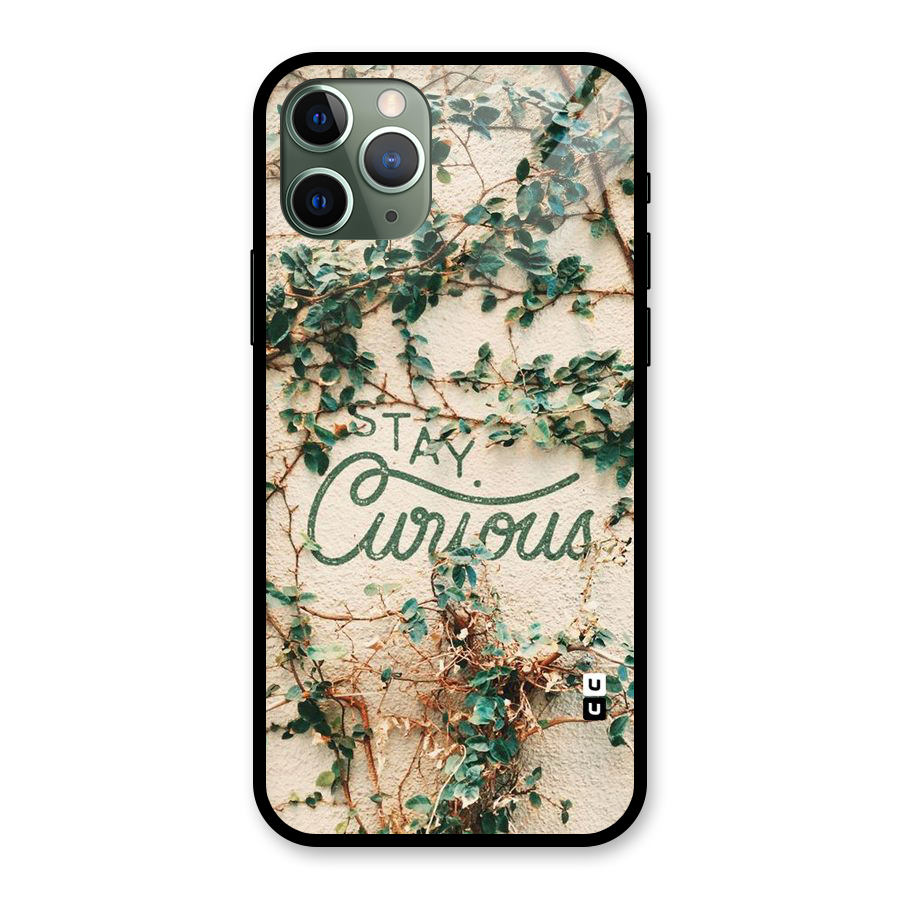 Stay Curious Glass Back Case for iPhone 11 Pro