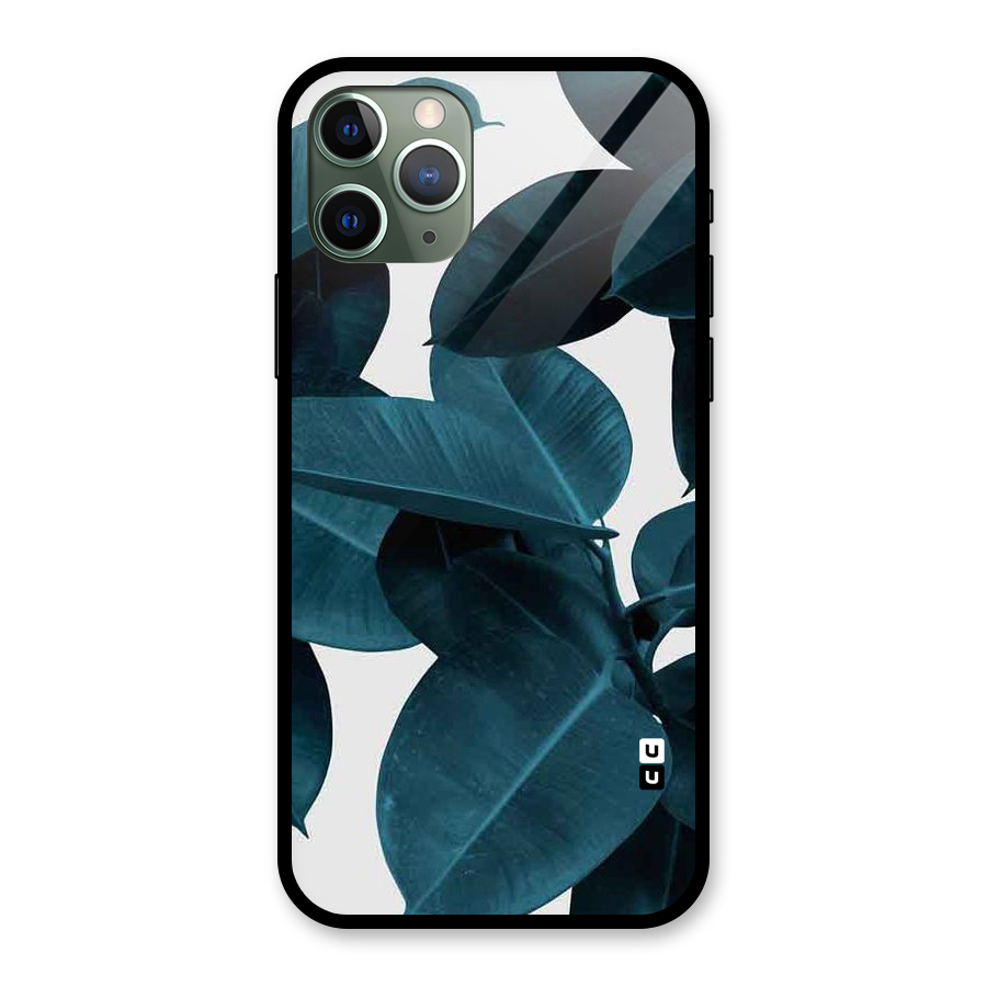 Very Aesthetic Leafs Glass Back Case for iPhone 11 Pro