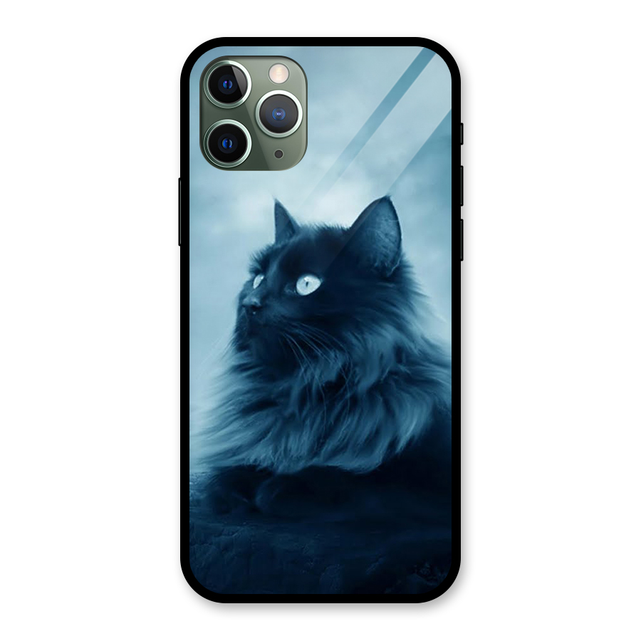 Wild Forest Cat Glass Back Case for iPhone 11 Pro