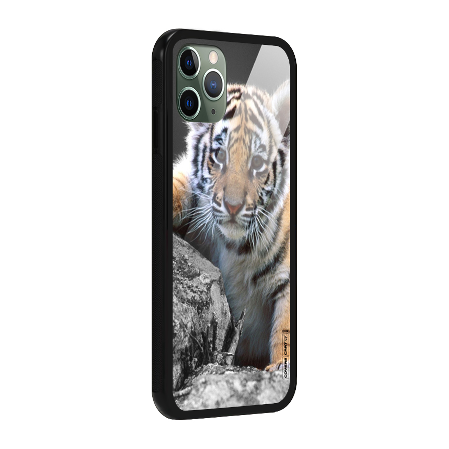 Animal Beauty Glass Back Case for iPhone 11 Pro