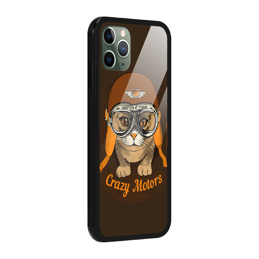 Crazy cat Glass Back Case for iPhone 11 Pro