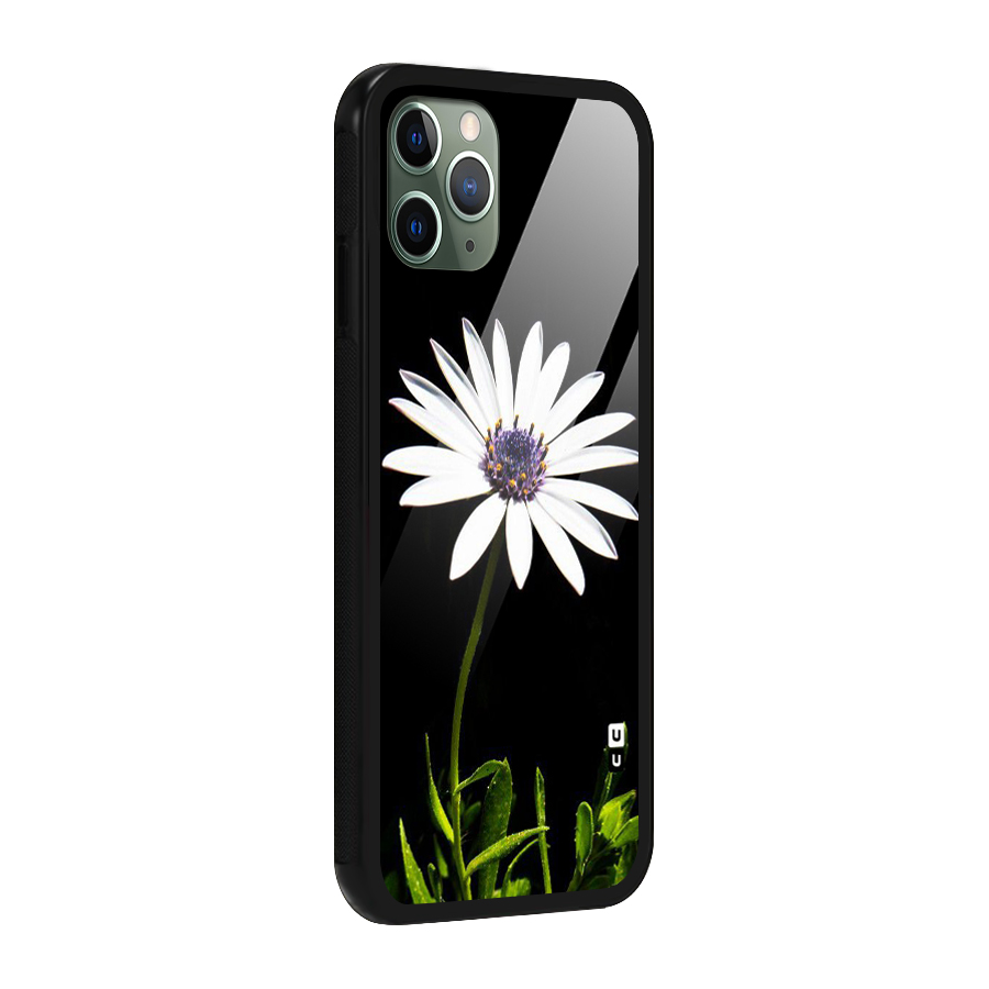 Flower White Spring Glass Back Case for iPhone 11 Pro