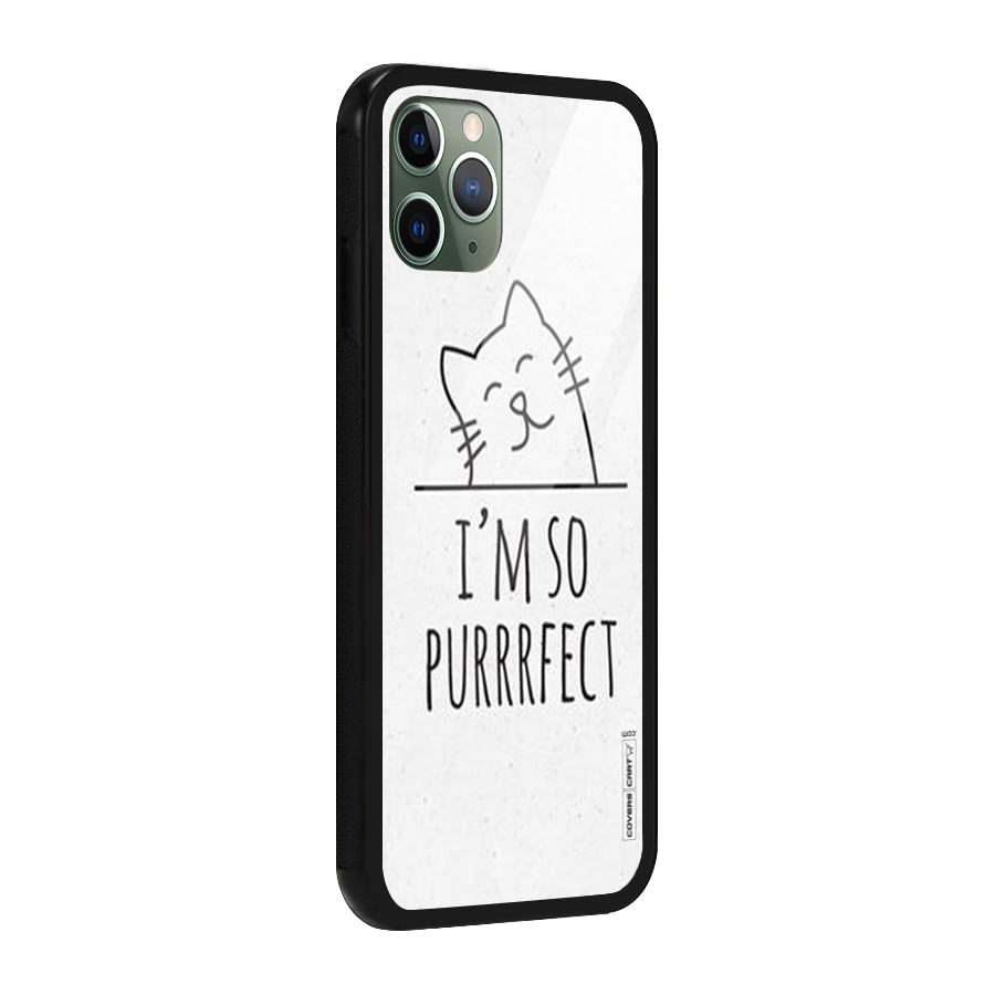 So Purrfect Glass Back Case for iPhone 11 Pro