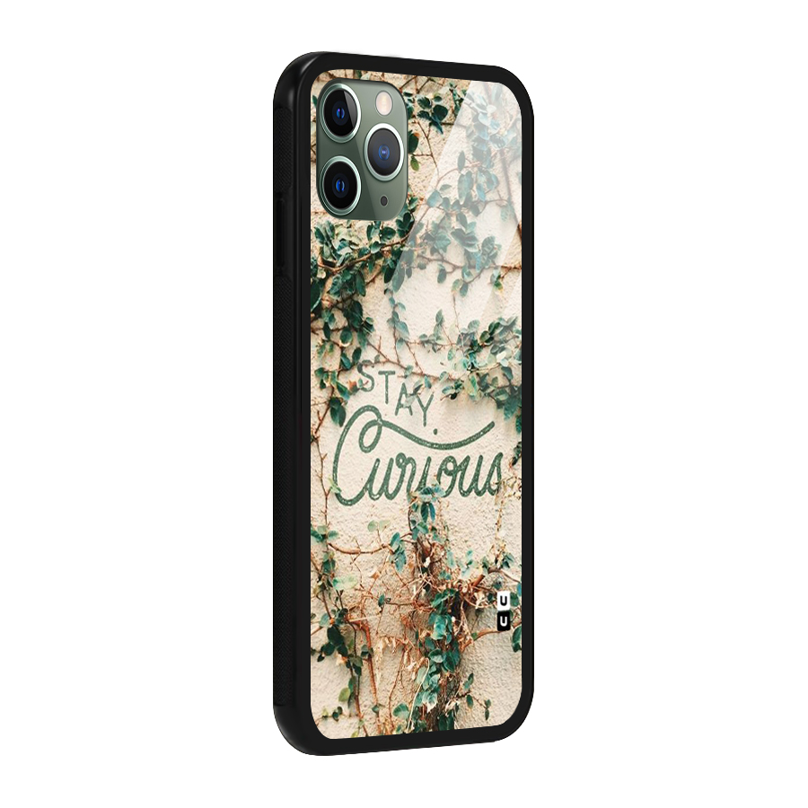 Stay Curious Glass Back Case for iPhone 11 Pro