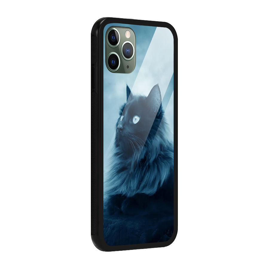 Wild Forest Cat Glass Back Case for iPhone 11 Pro