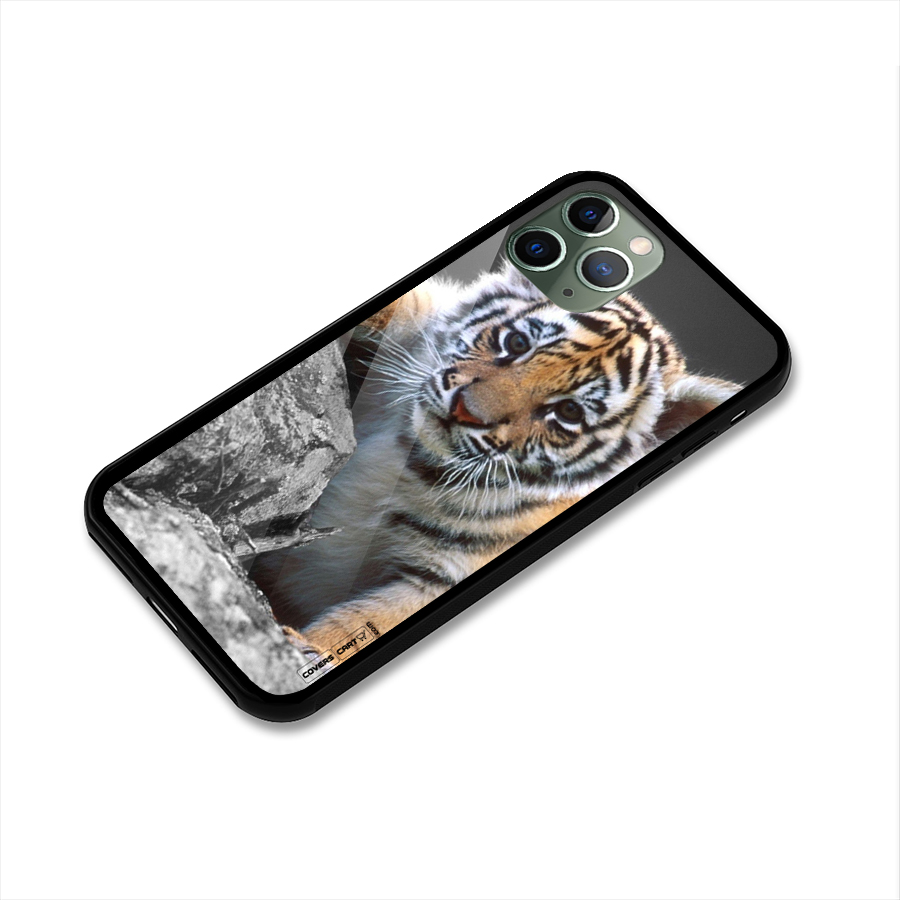 Animal Beauty Glass Back Case for iPhone 11 Pro