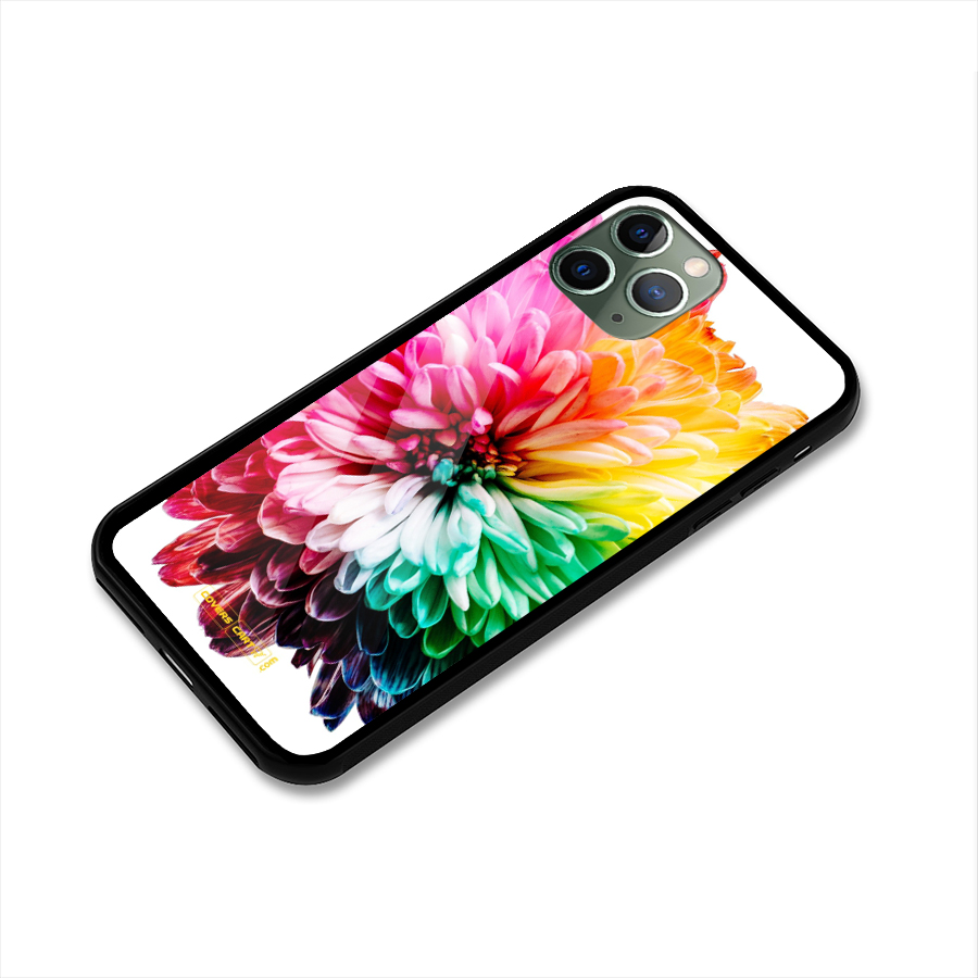 Colorful Flower Glass Back Case for iPhone 11 Pro