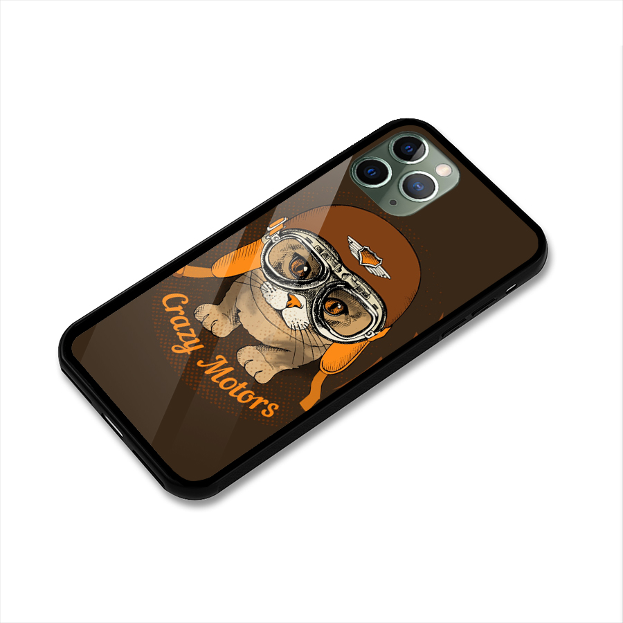 Crazy cat Glass Back Case for iPhone 11 Pro
