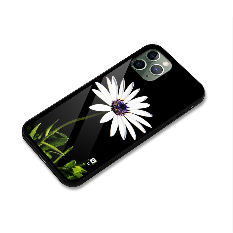Flower White Spring Glass Back Case for iPhone 11 Pro