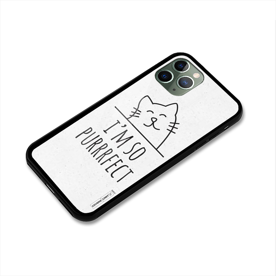 So Purrfect Glass Back Case for iPhone 11 Pro