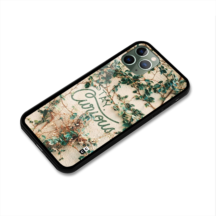 Stay Curious Glass Back Case for iPhone 11 Pro