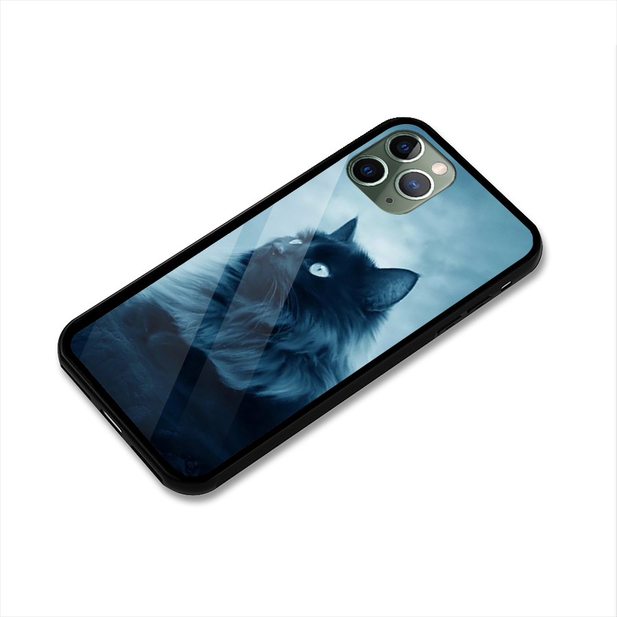 Wild Forest Cat Glass Back Case for iPhone 11 Pro