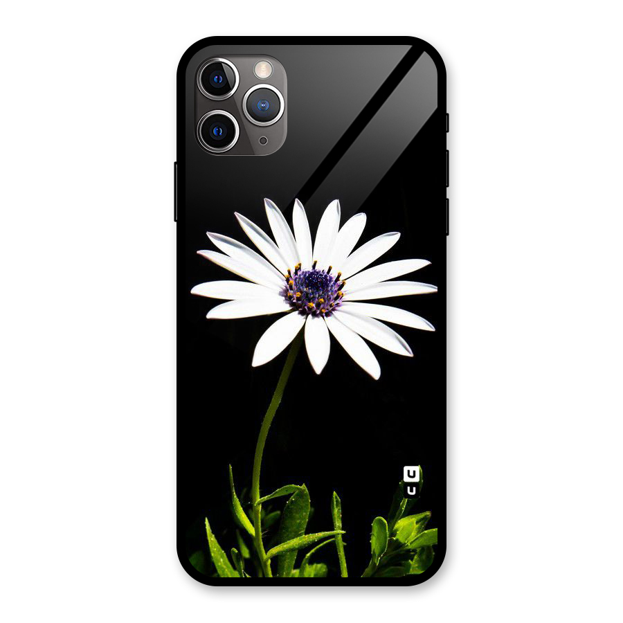 Flower White Spring Glass Back Case for iPhone 11 Pro Max