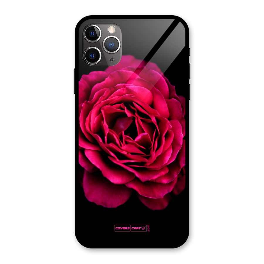 Magical Rose Glass Back Case for iPhone 11 Pro Max