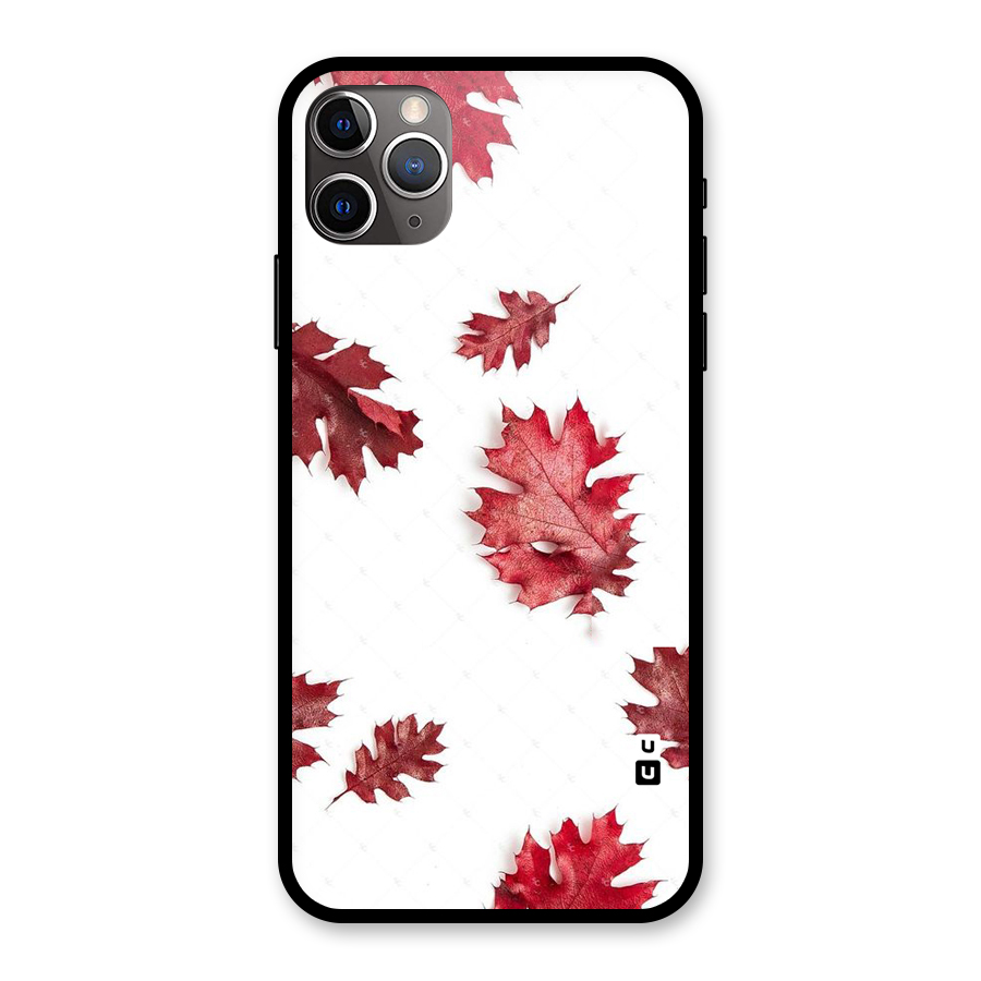 Red Appealing Autumn Leaves Glass Back Case for iPhone 11 Pro Max