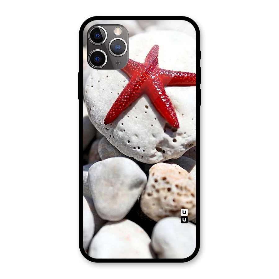 Red Star Fish Glass Back Case for iPhone 11 Pro Max