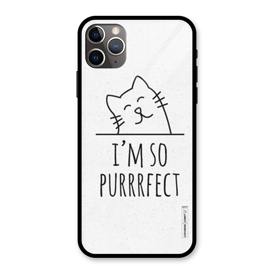 So Purrfect Glass Back Case for iPhone 11 Pro Max