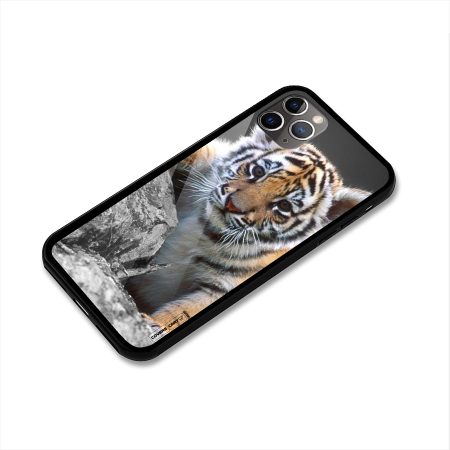 Animal Beauty Glass Back Case for iPhone 11 Pro Max