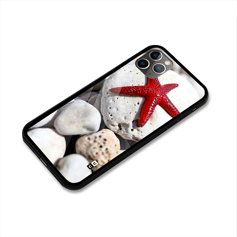 Red Star Fish Glass Back Case for iPhone 11 Pro Max