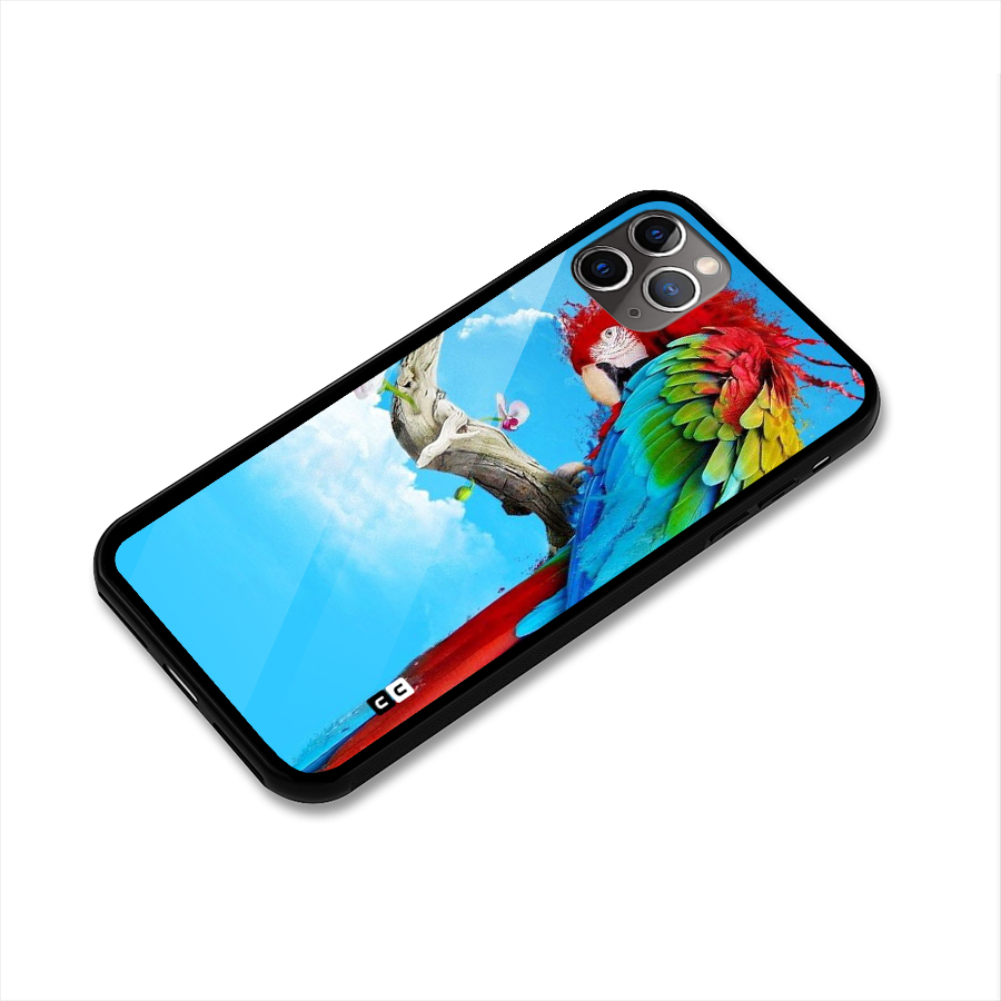 Sky Parrot Glass Back Case for iPhone 11 Pro Max