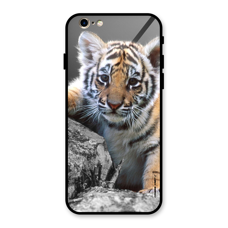 Animal Beauty Glass Back Case for iPhone 6 6S