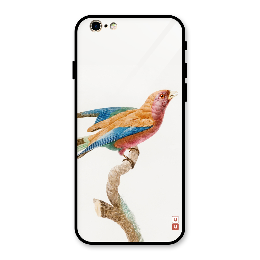 Beautiful Bird Glass Back Case for iPhone 6 6S