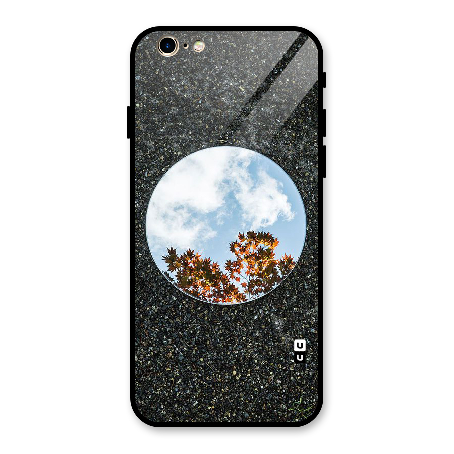 Beautiful Sky Leaves Glass Back Case for iPhone 6 6S