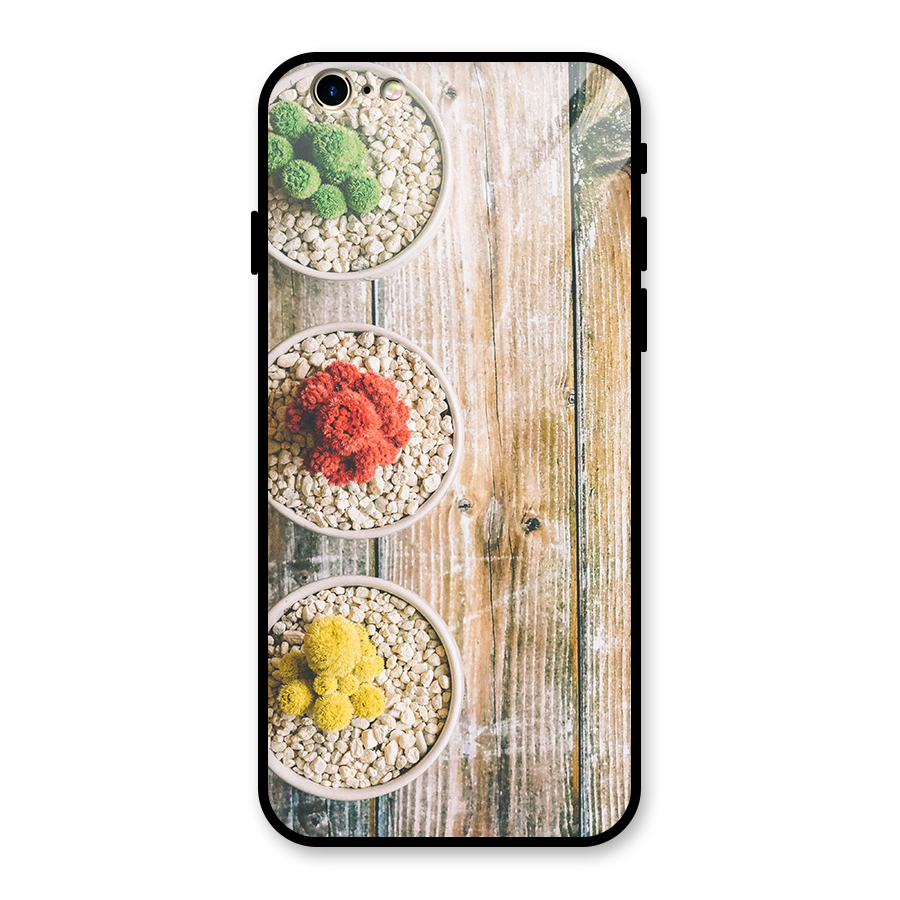 Cacti Decor Glass Back Case for iPhone 6 6S